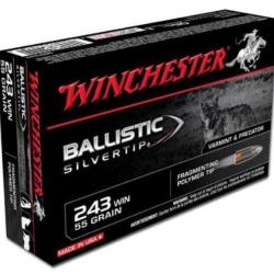 Munitions Winchester Ballistic Silvertip BST 243win 95gr 6.16g par 60
