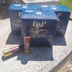 Cartouches BP Valle Steel 36 12/76