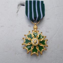 m&eacute;daille arts et lettres,neuve,