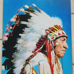 Poster portrait am&eacute;rindien avec coiffe