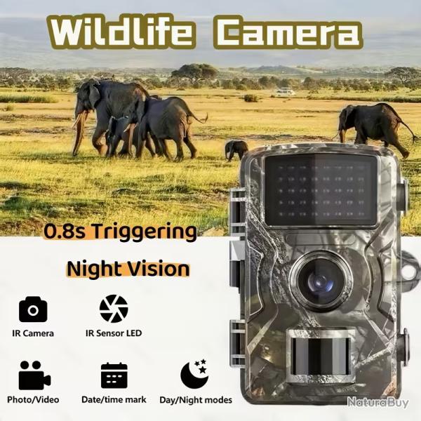 Phototrap Wildlife Camera