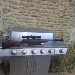 Stoeger f40