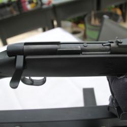 GAUCHER PHANTOM