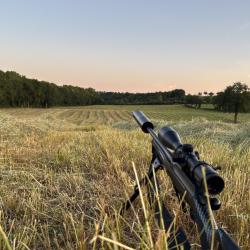 Crosse sauer 404/505
