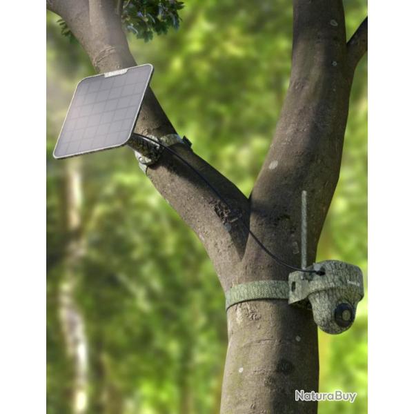 Cam�ra 4G LTE Reolink G450 4K 8MP + Pan/Tilt 360�