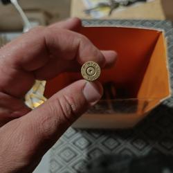 Lot 31 douilles 300 win mag
