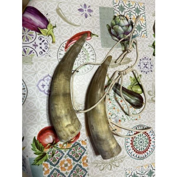 cornes poires � poudre noire