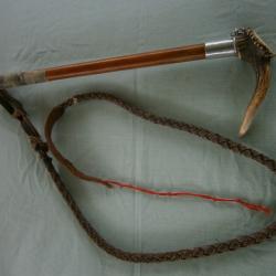 Fouet de v&eacute;nerie