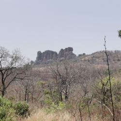 chasse au senegal oriental