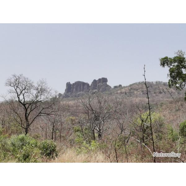 chasse au senegal oriental