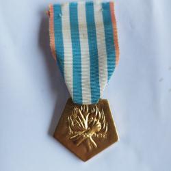 M&eacute;daille de la d&eacute;portation et l'internement pour faits de r&eacute;sistance