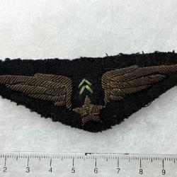 FRANCE 1935/1945 AVIATION ARM&Eacute;E DE L'AIR - insigne de poitrine PILOTE DE CHASSE