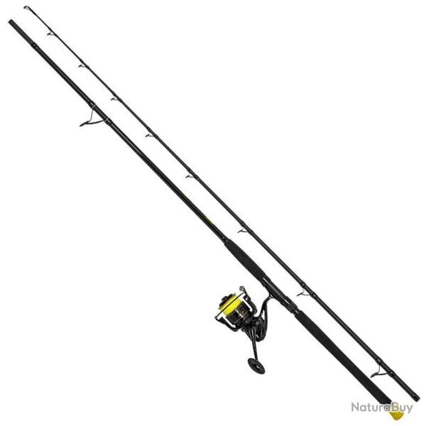 Canne silure BLACK CAT hard core combo bank 3m 600gr avec moulinet passion 80