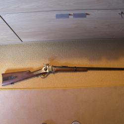 SHARPS ARMI-SPORT VERSION SPORT CANON LONG 45/70