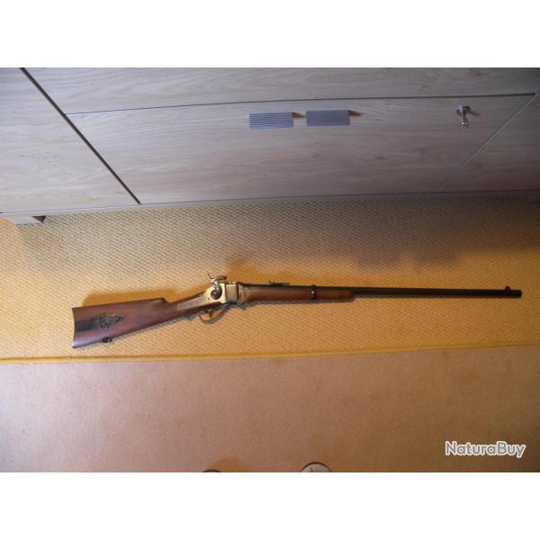 SHARPS ARMI-SPORT VERSION SPORT CANON LONG 45/70