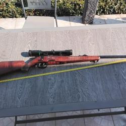 Steyr mannlicher cal 243