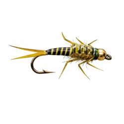 StoneFly Mouche nymphe pour la p&ecirc;che (Oliva)