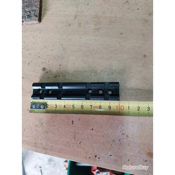 Rail picanni