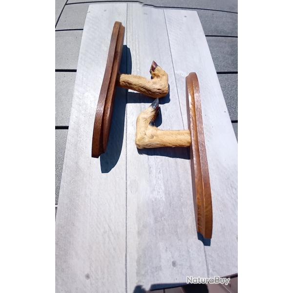 Supports muraux pour fusil (paire) patte d'animal