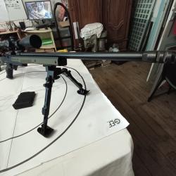 Carabine HOWA model 1500 cal 308