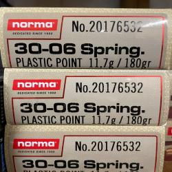 Norma 30-06 180 grains plastic point