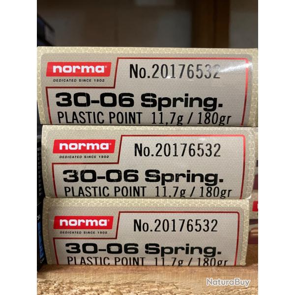 Norma 30-06 180 grains plastic point