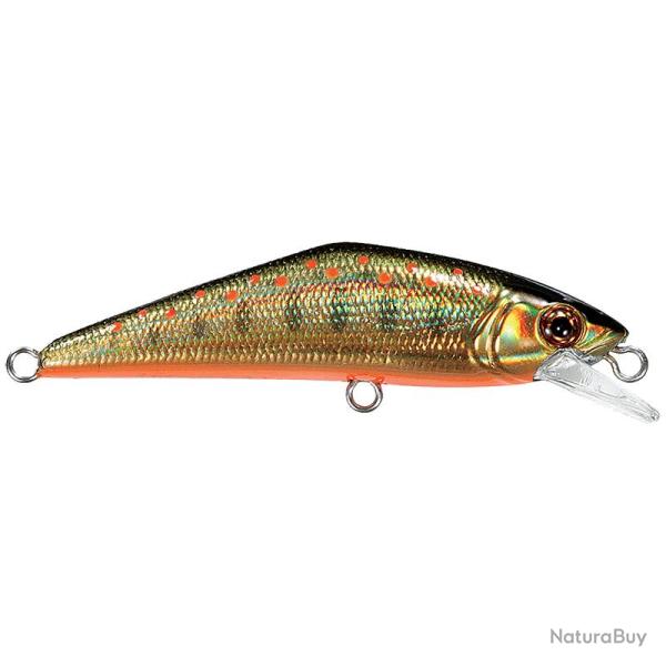 Poisson nageur SMITH D Contact 50 SP 23