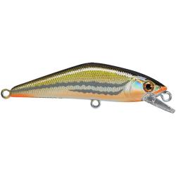 Poisson nageur SMITH D Contact 50 SP 31