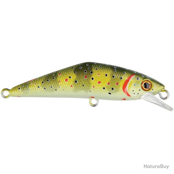 Poisson nageur SMITH D Contact 50 SP T1