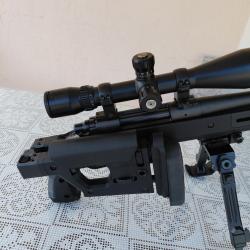 CARABINE  REMINGTON 300 WM  TLD
