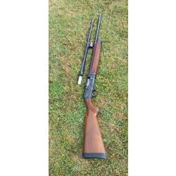 Beretta al390 avec deux canon
