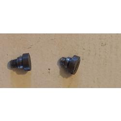 Pistolet Sauer and sohn S&S: 2 vis (2051)