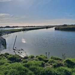 Gabion sur terrain de 8,80 hectares