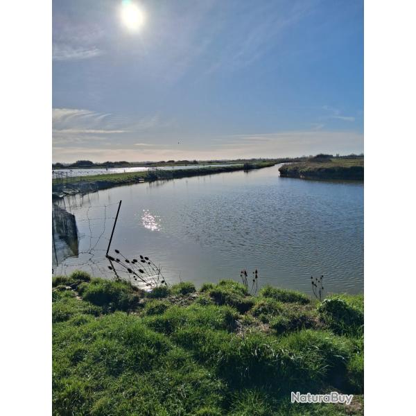 Gabion sur terrain de 8,80 hectares