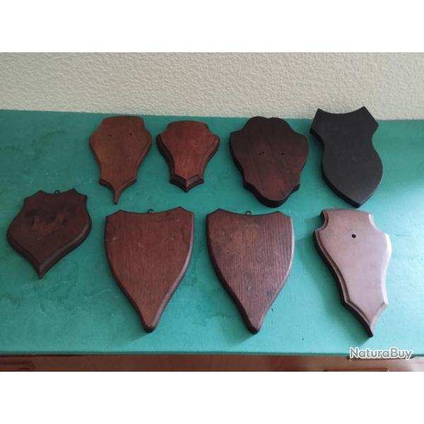 LOT DE 8 ECUSSONS BOIS TROPHEE CHASSE CHEVREUIL CHAMOIS TAXIDERMIE