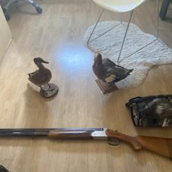 Lot Fusil sheriff western italien + faux pigeon et canard empaill&eacute;