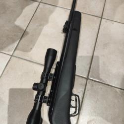 gamo big cat 1000 E B