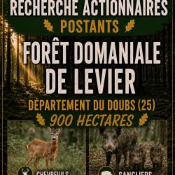 Recherche actionnaire