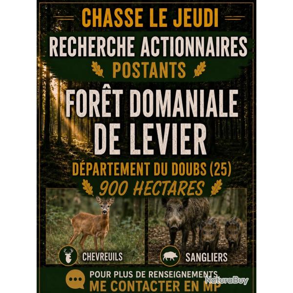 Recherche actionnaire