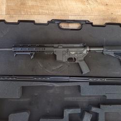 Fusil d'assault VCD-15 223 rem 14"5 + Point rouge HOLOSUN HS 510 C