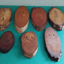 LOT DE 7 ECUSSONS BOIS TROPHEE CHASSE CHEVREUIL CHAMOIS TAXIDERMIE