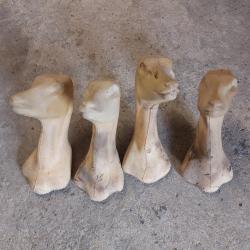 lot de 4 formes pour taxidermie