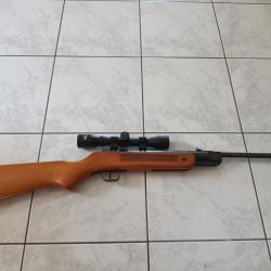 Carabine a Plomb de 2000