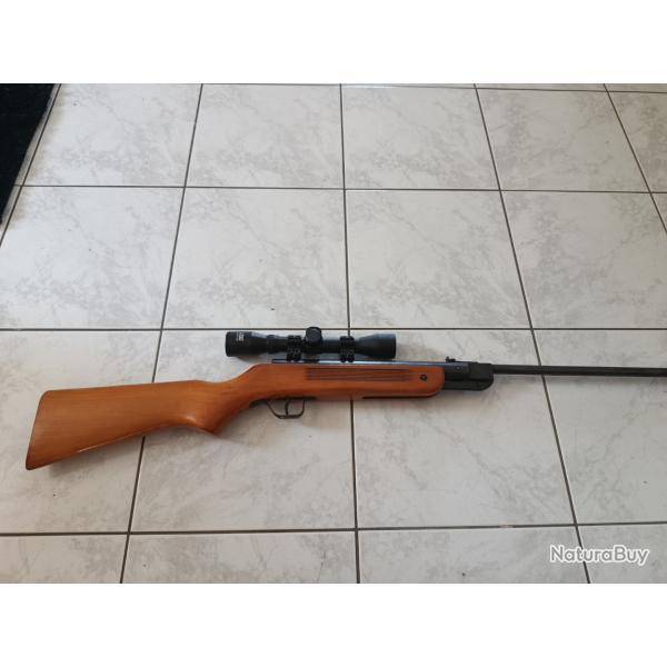 Carabine a Plomb de 2000