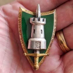 INSIGNE ETAT MAJOR ARMEE FRANCAISE ORGANISATION CENTRE EUROPE ( AB - G 1066 )