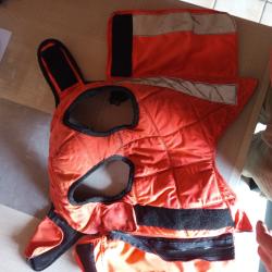 Gilet protection chien