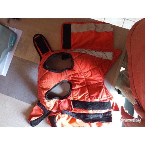 Gilet protection chien