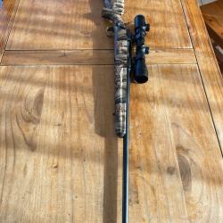 Carabine Savage, 243 Winchester