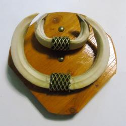 Troph&eacute;e moyen de dents de sanglier sur blason