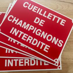 Lot de 5 panneaux Neuf Cueillette Champignons interdite